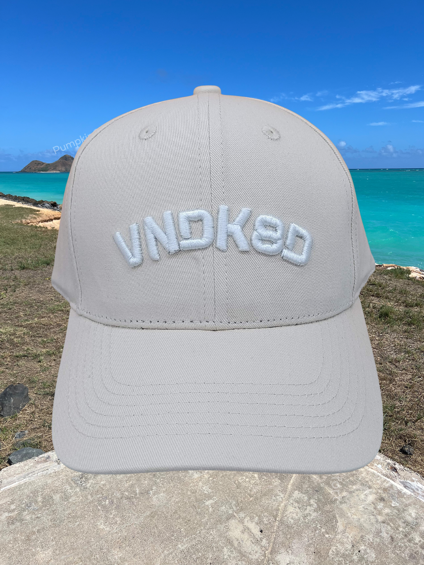 VNDK8D Hats